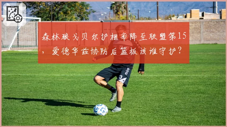 森林狼戈贝尔护框率降至联盟第15，爱德华兹协防后篮板该谁守护？