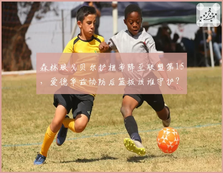 森林狼戈贝尔护框率降至联盟第15，爱德华兹协防后篮板该谁守护？