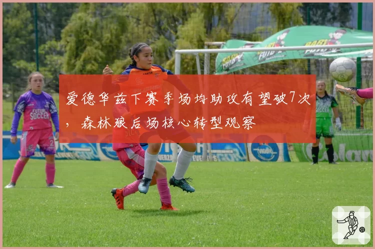 爱德华兹下赛季场均助攻有望破7次,森林狼后场核心转型观察